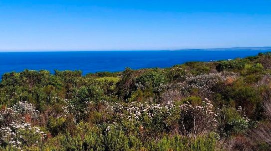 0 Bedroom Property for Sale in Village On Sea Western Cape
